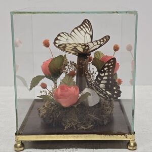 Vintage 1970s Taxidermy Butterfly Glass Terrarium Display Cottage Collectible